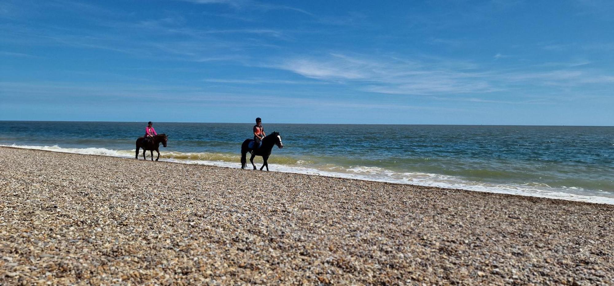 Seagull Cottage - Suffolk Coastal Escapes Pakefield Extérieur photo